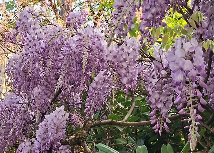 Appartement Chez Sophie Et Gege. Maison De Ville, Deux Chambres, De Plain-pied *